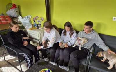 Učenici posjetili udrugu za zaštitu životinja “Srce za lutalice”